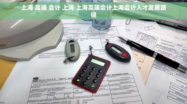 上海 高端 会计 上海 上海高端会计上海会计人才发展路径