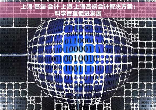 上海 高端 会计 上海 上海高端会计解决方案：科学管理促进发展