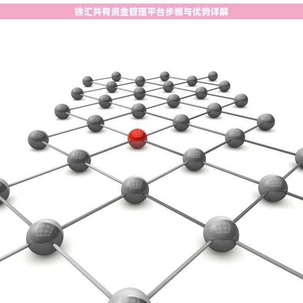徐汇共有资金管理平台步骤与优势详解