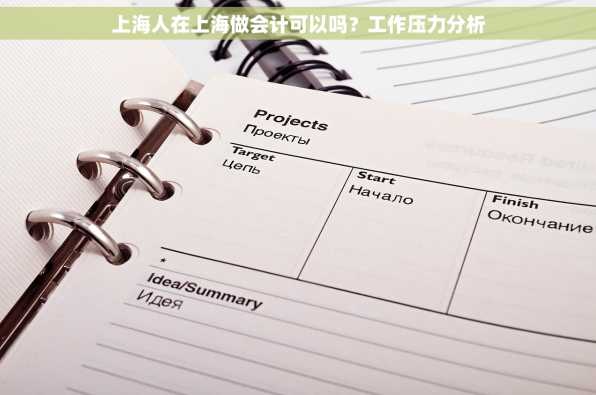 上海人在上海做会计可以吗？工作压力分析