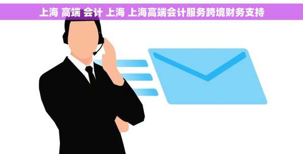 上海 高端 会计 上海 上海高端会计服务跨境财务支持