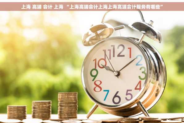 上海 高端 会计 上海 “上海高端会计上海上海高端会计服务有哪些”