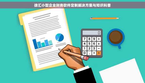 徐汇小型企业财务软件定制解决方案与知识科普