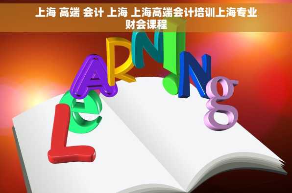 上海 高端 会计 上海 上海高端会计培训上海专业财会课程