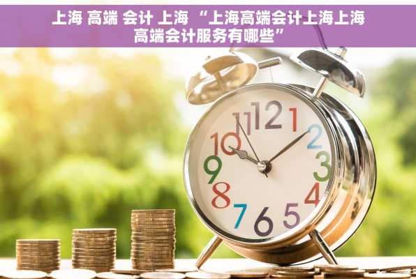 上海 高端 会计 上海 “上海高端会计上海上海高端会计服务有哪些”