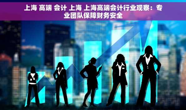 上海 高端 会计 上海 上海高端会计行业观察：专业团队保障财务安全