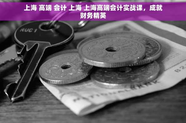 上海 高端 会计 上海 上海高端会计实战课，成就财务精英