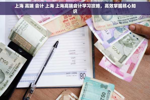 上海 高端 会计 上海 上海高端会计学习攻略，高效掌握核心知识