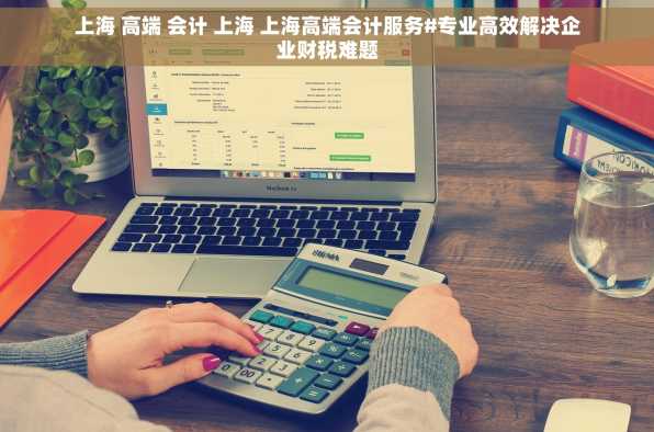 上海 高端 会计 上海 上海高端会计服务#专业高效解决企业财税难题