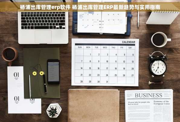 杨浦出库管理erp软件 杨浦出库管理ERP最新趋势与实用指南