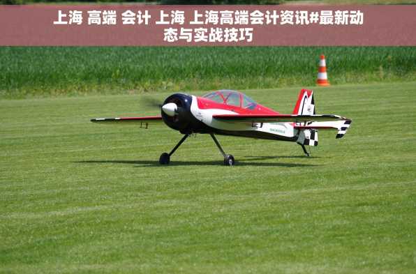 上海 高端 会计 上海 上海高端会计资讯#最新动态与实战技巧