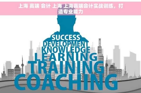 上海 高端 会计 上海 上海高端会计实战训练，打造专业能力