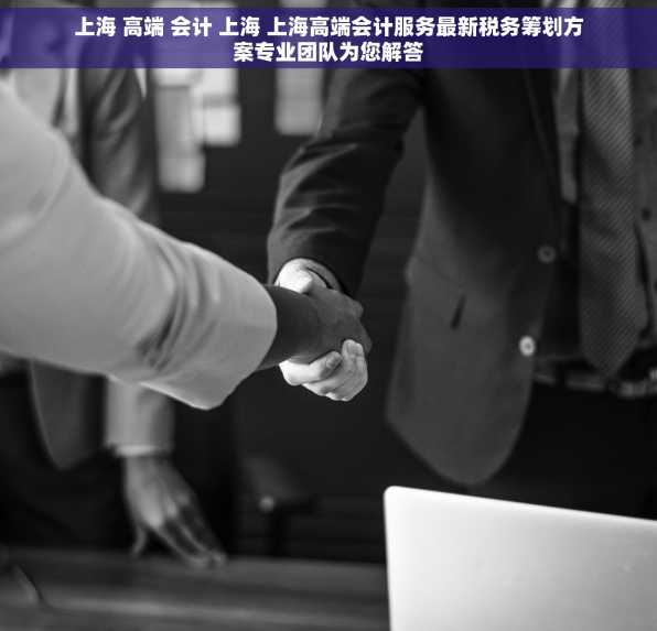 上海 高端 会计 上海 上海高端会计服务最新税务筹划方案专业团队为您解答