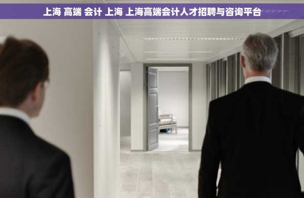 上海 高端 会计 上海 上海高端会计人才招聘与咨询平台