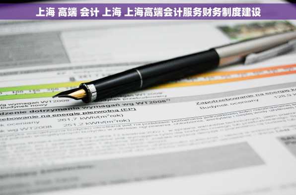 上海 高端 会计 上海 上海高端会计服务财务制度建设