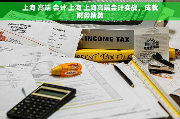 上海 高端 会计 上海 上海高端会计实战，成就财务精英