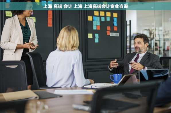 上海 高端 会计 上海 上海高端会计专业咨询