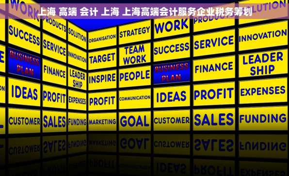 上海 高端 会计 上海 上海高端会计服务企业税务筹划