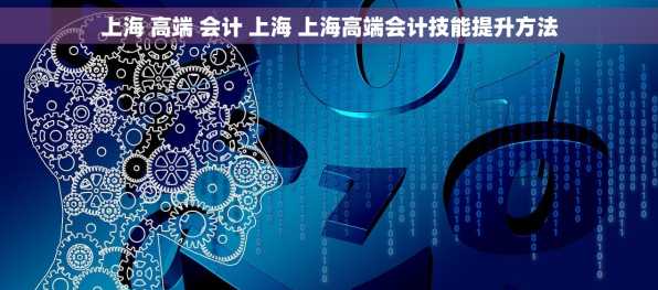 上海 高端 会计 上海 上海高端会计技能提升方法