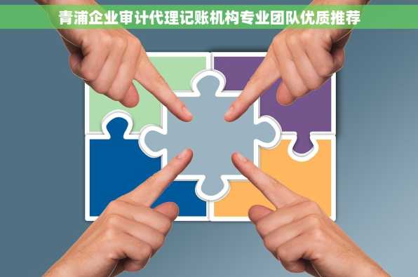 青浦企业审计代理记账机构专业团队优质推荐