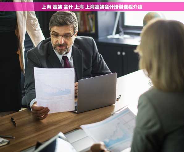 上海 高端 会计 上海 上海高端会计培训课程介绍