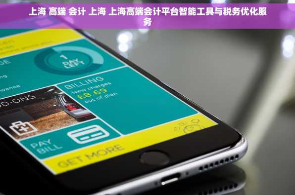 上海 高端 会计 上海 上海高端会计平台智能工具与税务优化服务