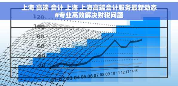 上海 高端 会计 上海 上海高端会计服务最新动态#专业高效解决财税问题