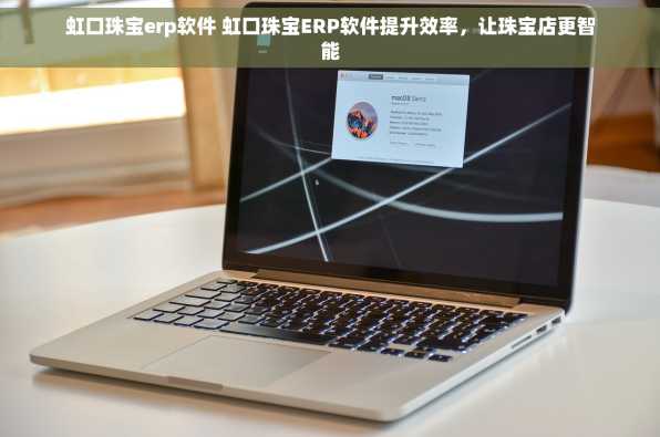 虹口珠宝erp软件 虹口珠宝ERP软件提升效率，让珠宝店更智能