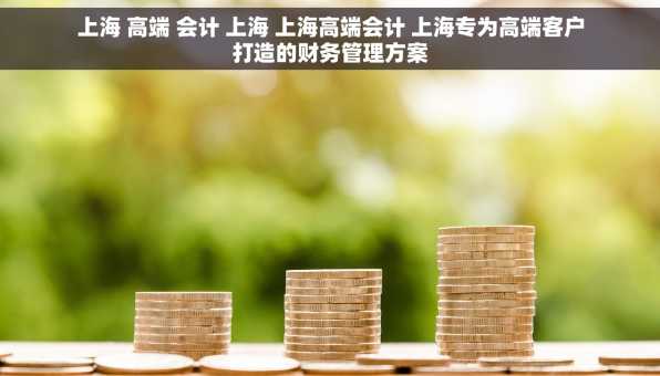 上海 高端 会计 上海 上海高端会计 上海专为高端客户打造的财务管理方案