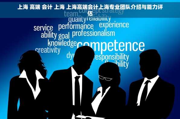 上海 高端 会计 上海 上海高端会计上海专业团队介绍与能力评估