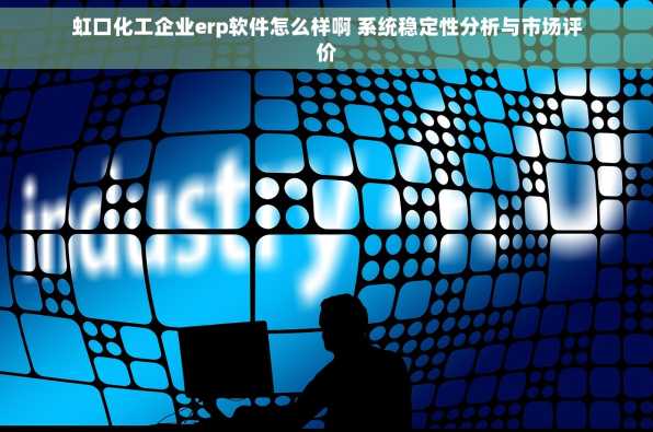 虹口化工企业erp软件怎么样啊 系统稳定性分析与市场评价