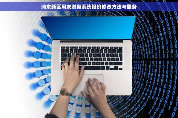 浦东新区用友财务系统报价修改方法与服务