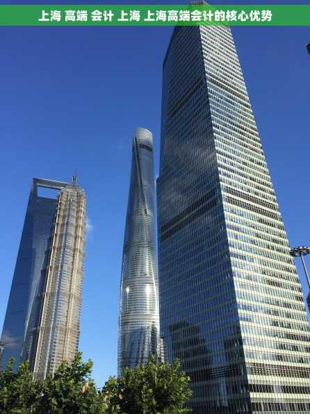 上海 高端 会计 上海 上海高端会计的核心优势