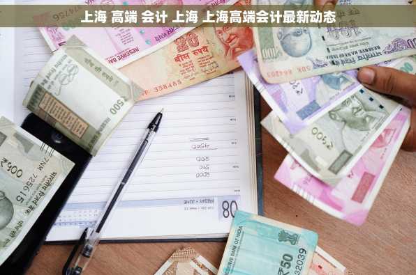 上海 高端 会计 上海 上海高端会计最新动态