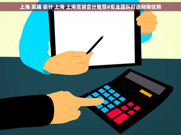 上海 高端 会计 上海 上海高端会计推荐#专业团队打造财税优势