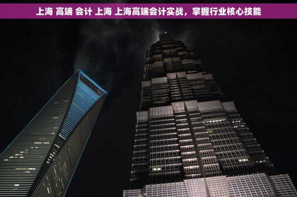 上海 高端 会计 上海 上海高端会计实战，掌握行业核心技能