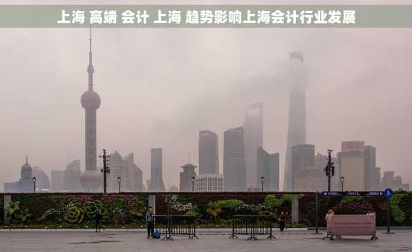 上海 高端 会计 上海 趋势影响上海会计行业发展