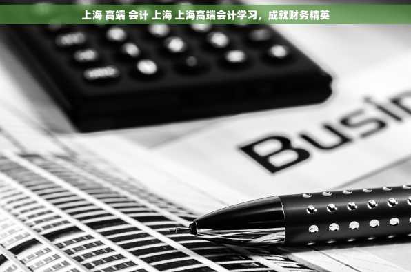 上海 高端 会计 上海 上海高端会计学习，成就财务精英