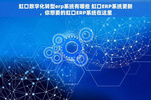 虹口数字化转型erp系统有哪些 虹口ERP系统更新，你想要的虹口ERP系统在这里