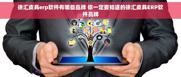 徐汇皮具erp软件有哪些品牌 你一定要知道的徐汇皮具ERP软件品牌
