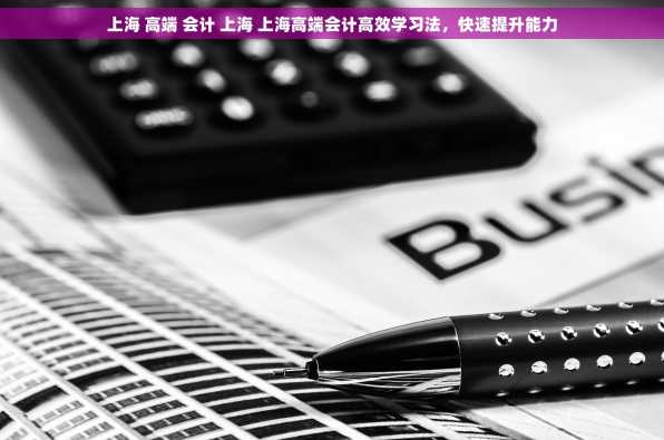 上海 高端 会计 上海 上海高端会计高效学习法，快速提升能力