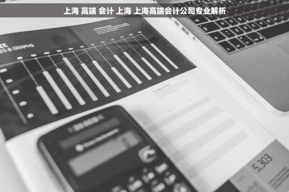 上海 高端 会计 上海 上海高端会计公司专业解析