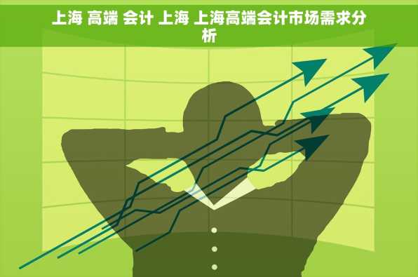 上海 高端 会计 上海 上海高端会计市场需求分析
