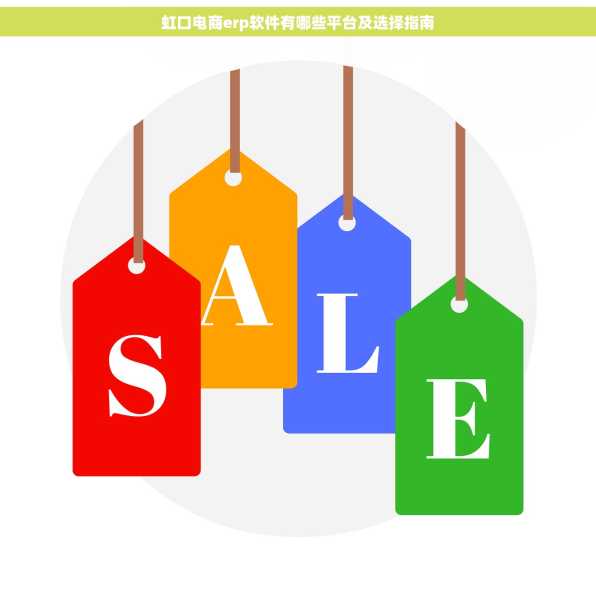 虹口电商erp软件有哪些平台及选择指南