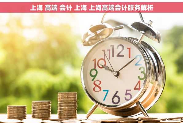上海 高端 会计 上海 上海高端会计服务解析