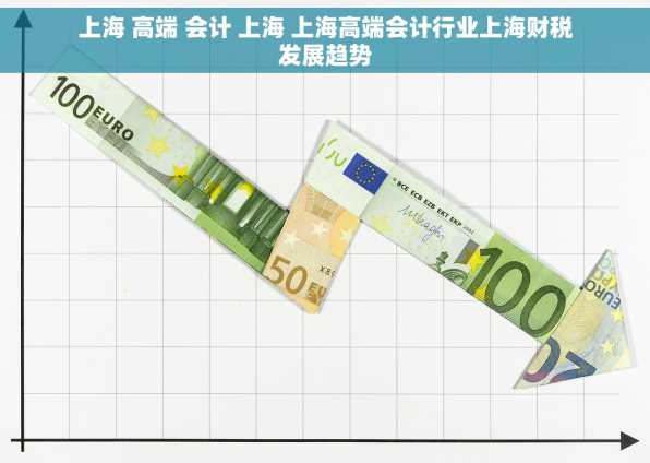 上海 高端 会计 上海 上海高端会计行业上海财税发展趋势