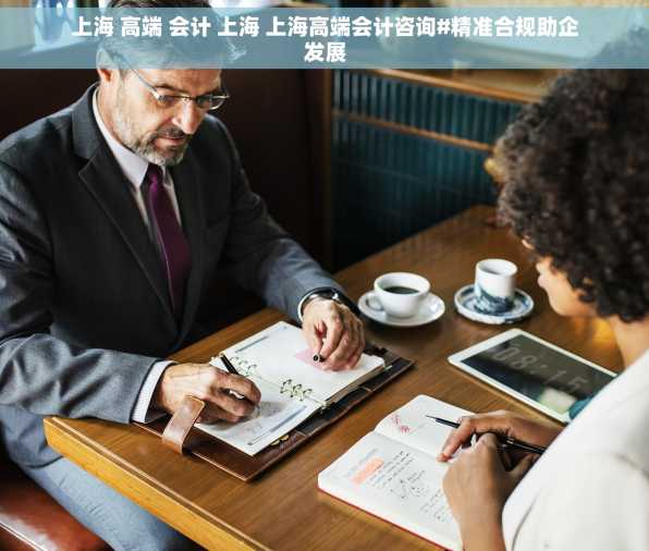 上海 高端 会计 上海 上海高端会计咨询#精准合规助企发展