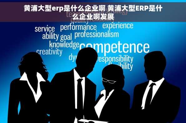 黄浦大型erp是什么企业啊 黄浦大型ERP是什么企业啊发展