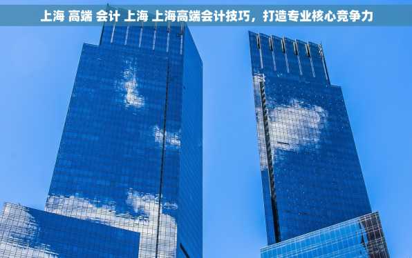 上海 高端 会计 上海 上海高端会计技巧，打造专业核心竞争力