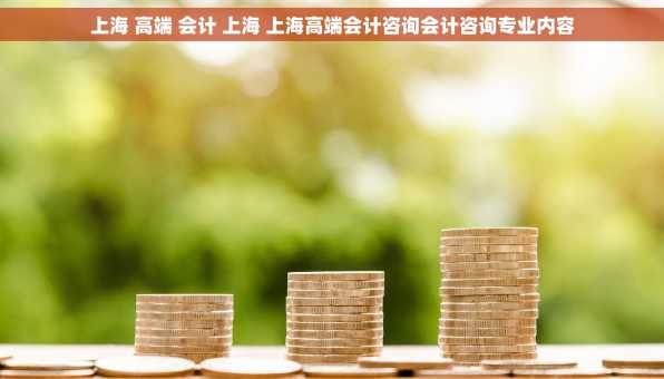 上海 高端 会计 上海 上海高端会计咨询会计咨询专业内容